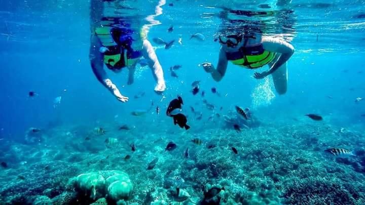 Gili Maya Cottages ギリ・アイル エクステリア 写真